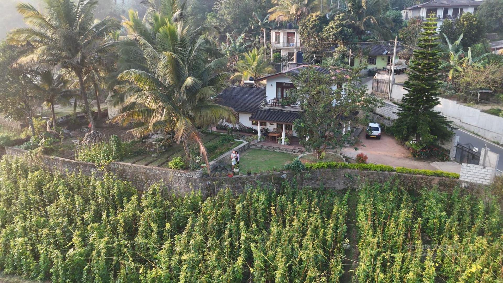 Ella Nature Valley Homestay Ngoại thất bức ảnh