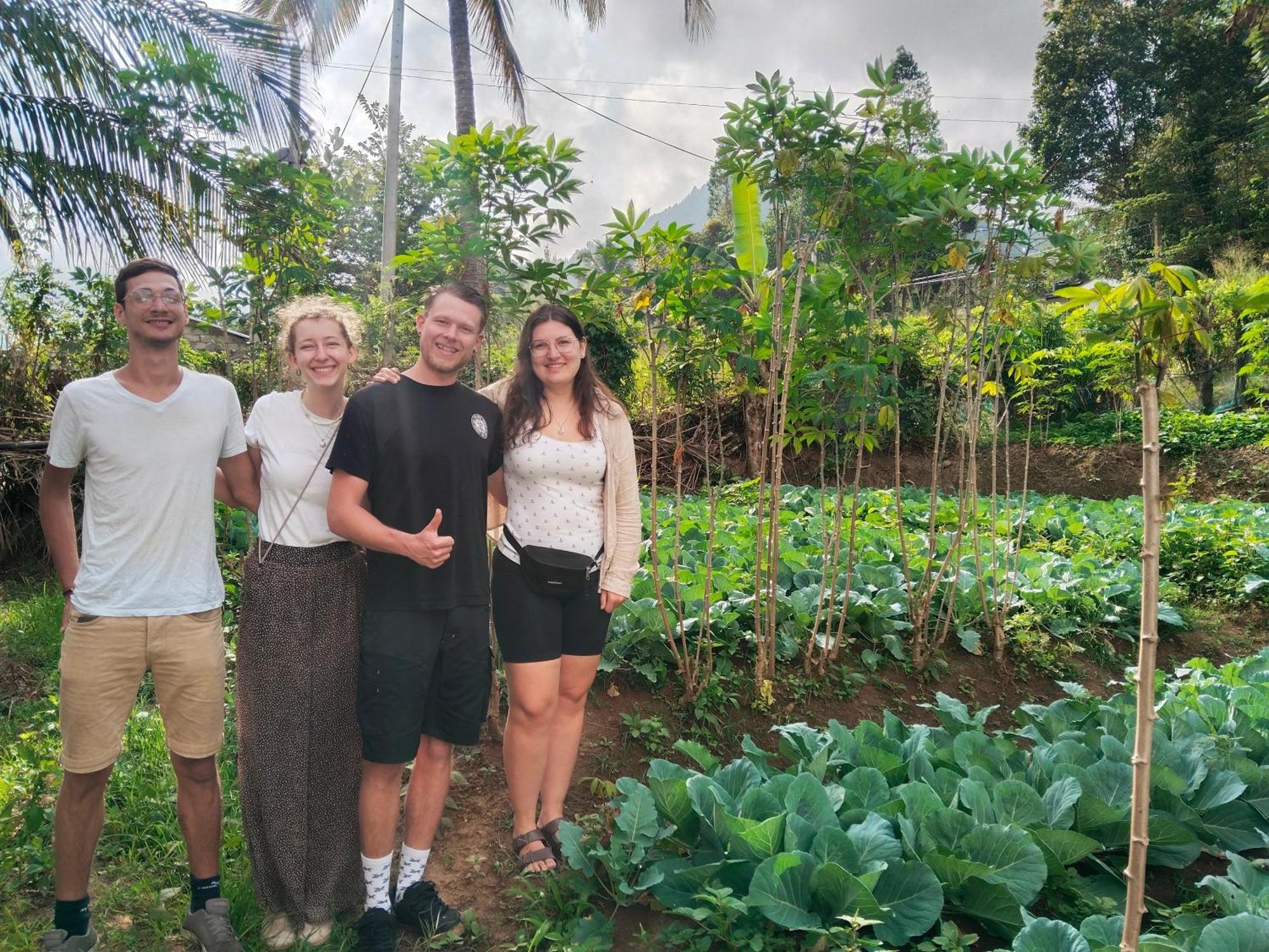 Ella Nature Valley Homestay Ngoại thất bức ảnh