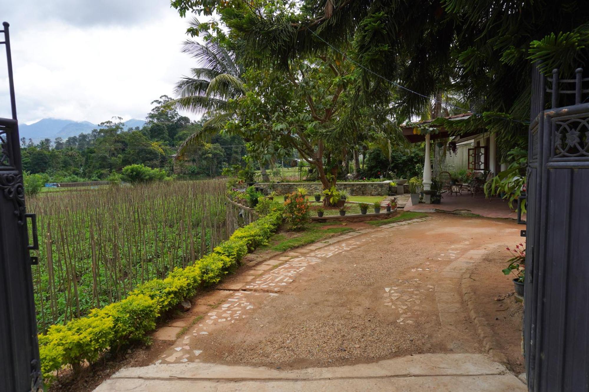 Ella Nature Valley Homestay Ngoại thất bức ảnh