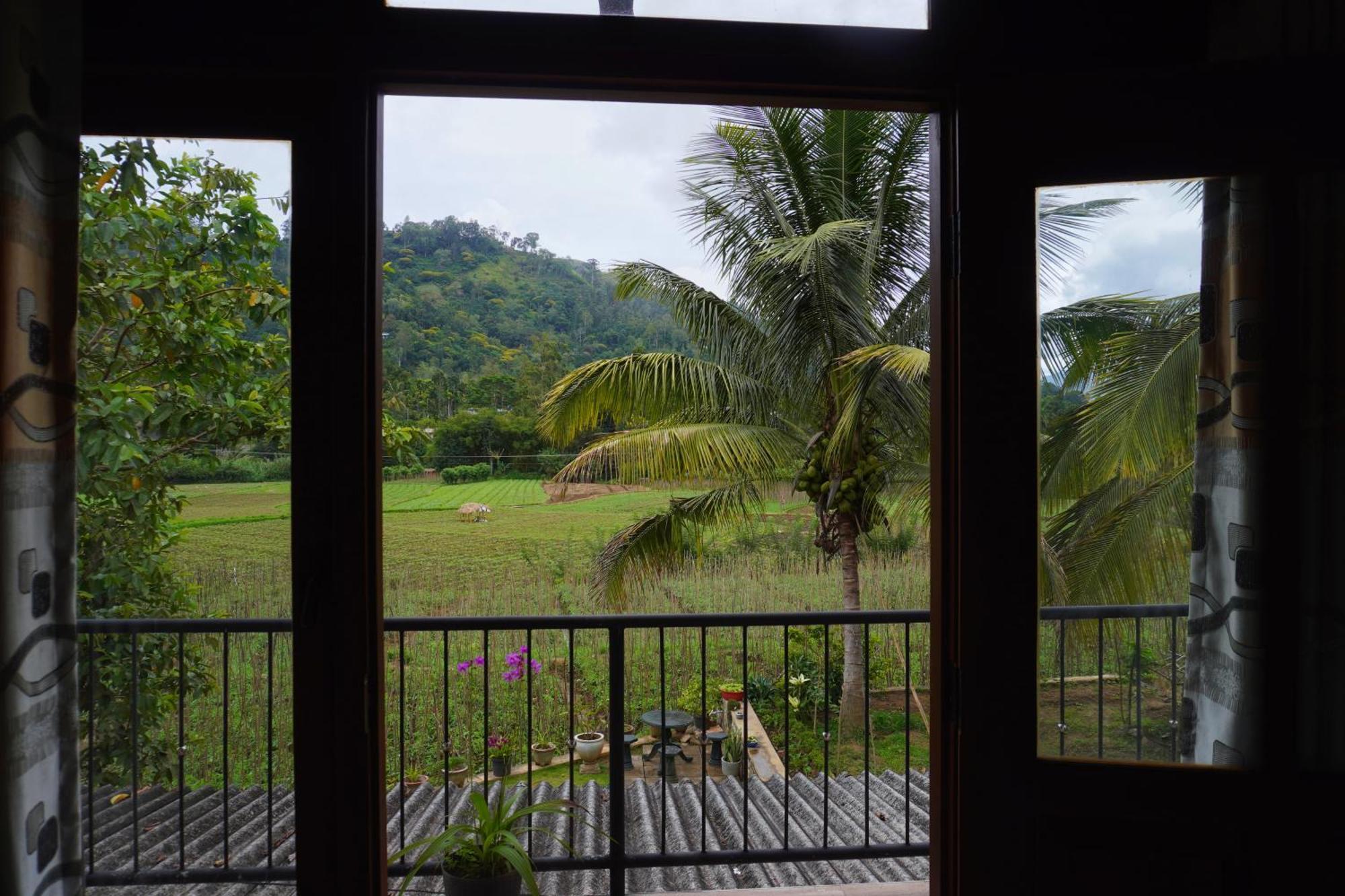 Ella Nature Valley Homestay Ngoại thất bức ảnh