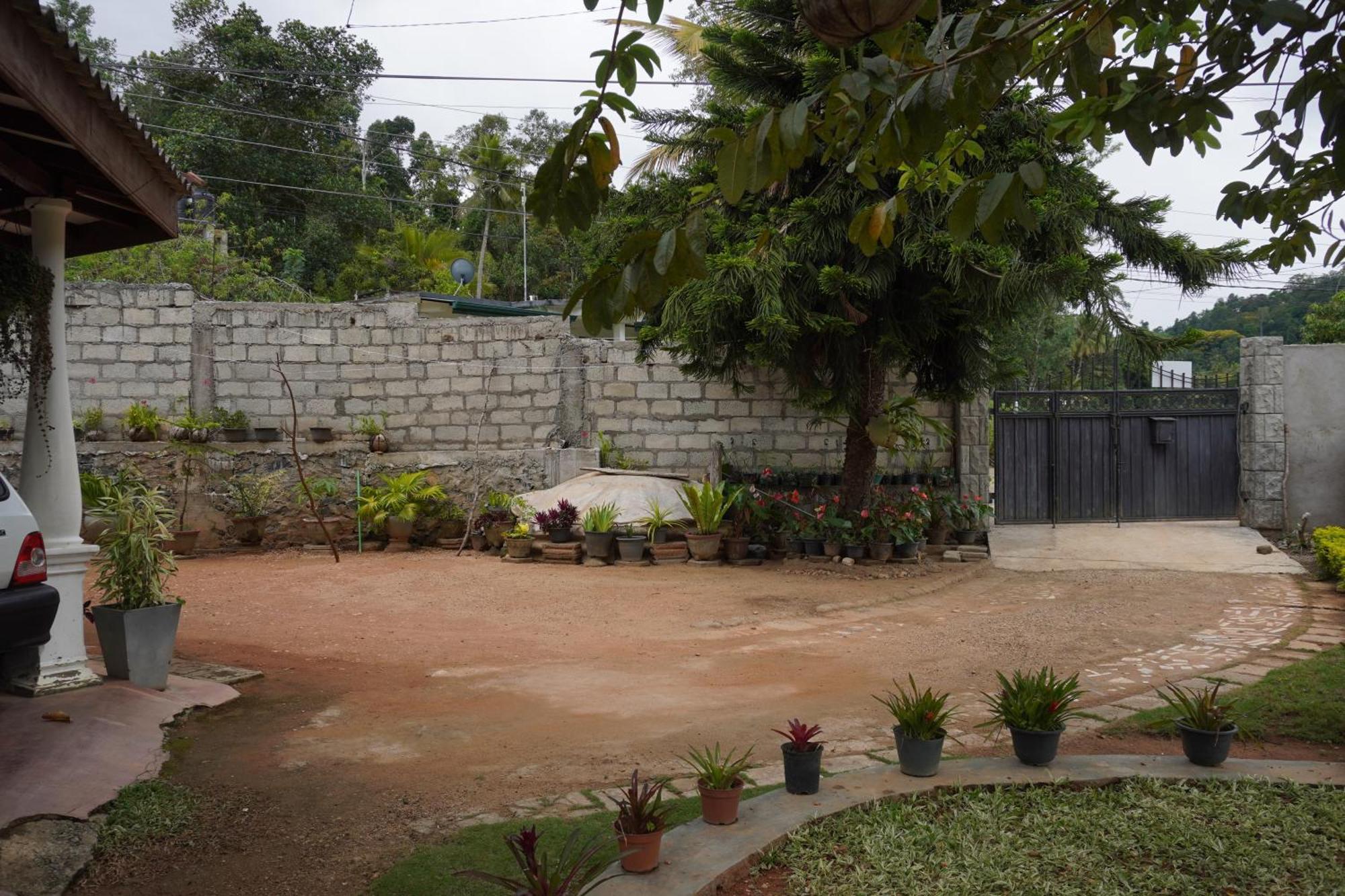 Ella Nature Valley Homestay Ngoại thất bức ảnh