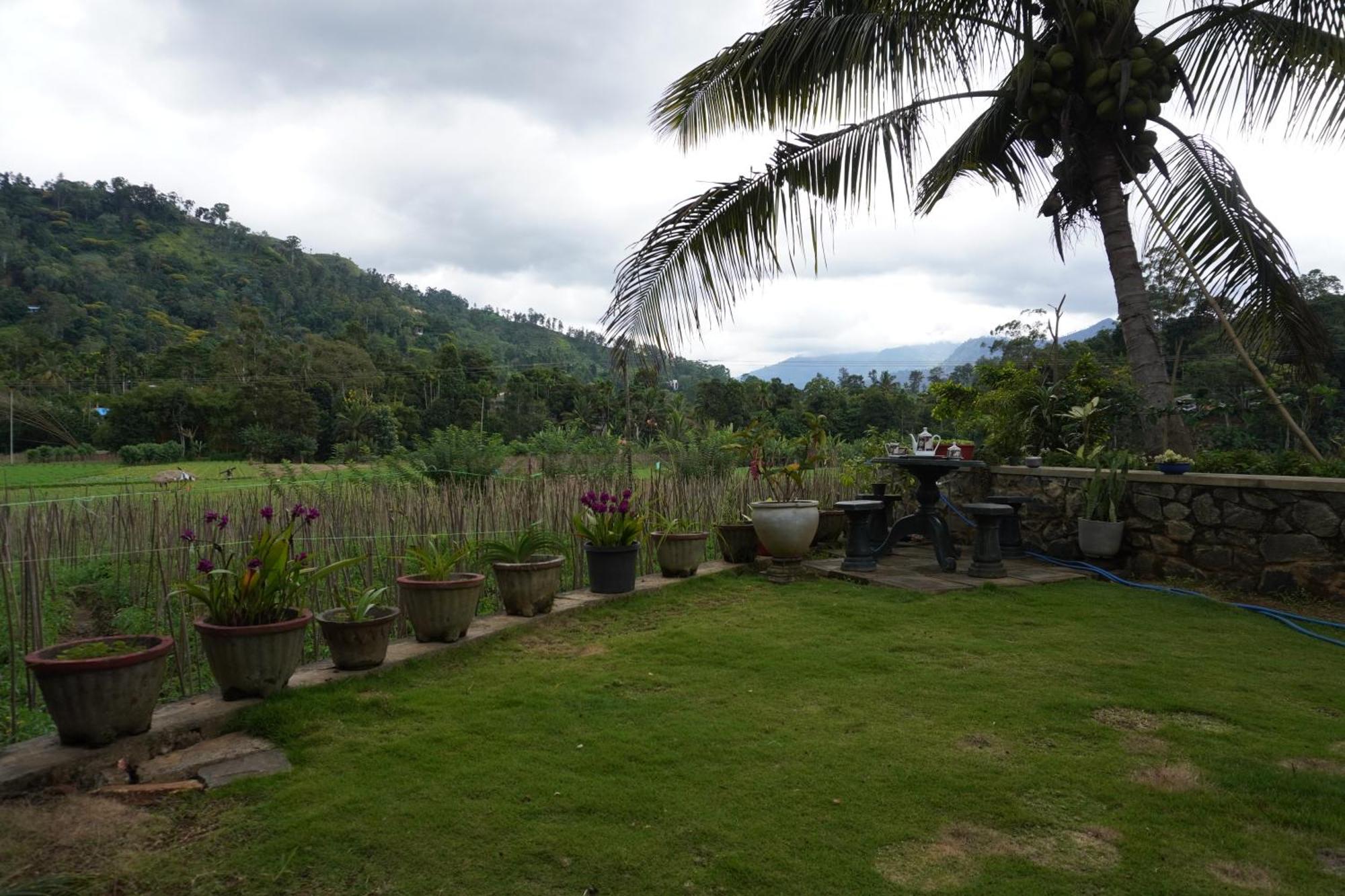 Ella Nature Valley Homestay Ngoại thất bức ảnh