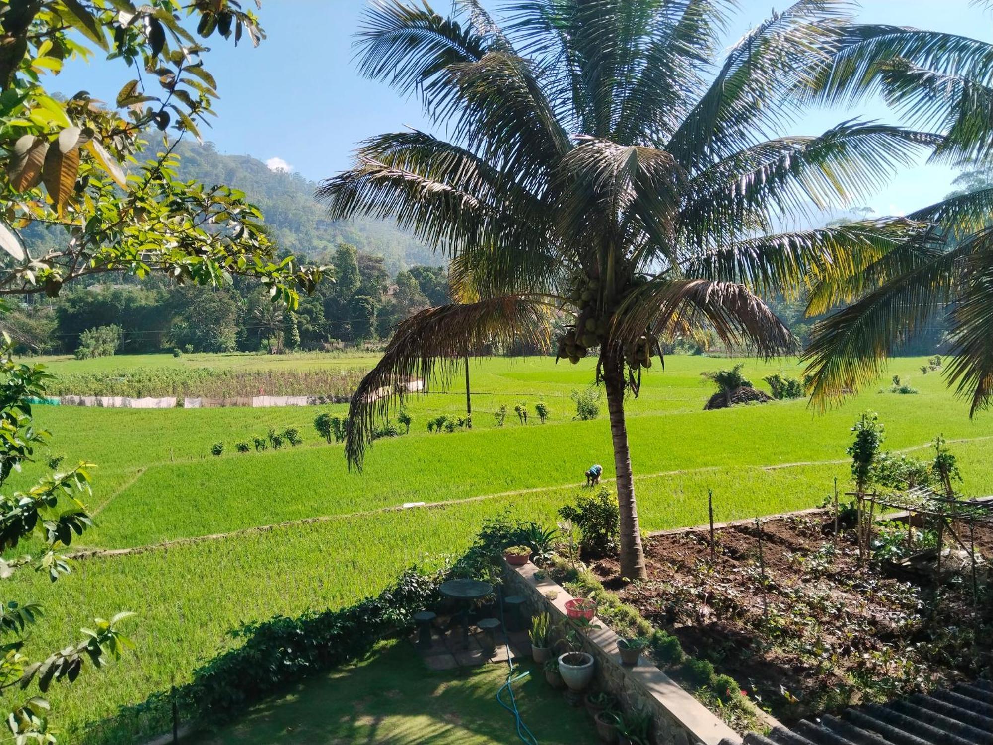 Ella Nature Valley Homestay Ngoại thất bức ảnh